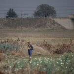 Ninth woman found dead in Johannesburg killing spree