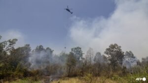 Indonesia doing ‘everything’ but still struggling to curb fires