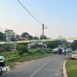 South Africa mass shooting: Gunmen kill 11 at house in Durban