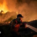 Indonesia wildfire live updates: Toxic haze spreads to Malaysia and Philippines