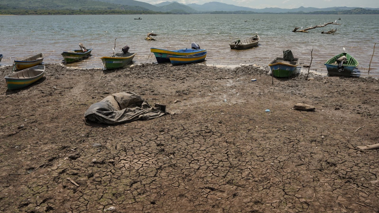 ‘Danger zone of extreme weather’: UN warns of supersized El Niño set to hit global economy and markets