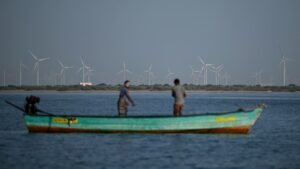 India’s large caps stuck in ‘bygone economic era’, says Bernstein, as foreign investors head for the exit
