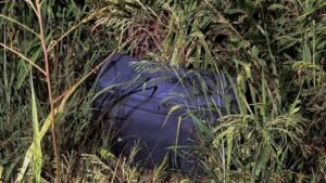 Australian man pleads not guilty to Thai suitcase murder