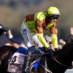Horse racing-Double Gold Cup winner Galopin Des Champs dies after field injury