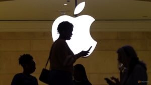 BASF sues Apple in US, says iPhones infringe face authentication patents