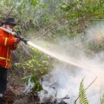 Wildfires spread near Indonesia’s new capital, prompting calls for action