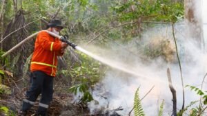 Wildfires spread near Indonesia’s new capital, prompting calls for action