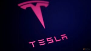 Tesla sets up Vietnam unit, registration filing shows