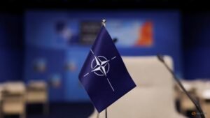 Pentagon leadership churn in focus as NATO military chiefs meet