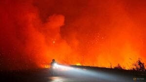 Indonesian president calls for stricter sanctions against forest fire perpetrators