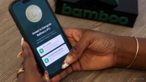 Dangote IPO tests Nigeria’s fintech infrastructure as investor demand overwhelms platforms