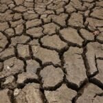 El Nino could cause 451,000 extra heat deaths: Research