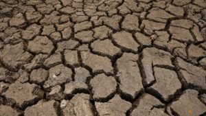 El Nino could cause 451,000 extra heat deaths: Research
