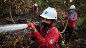 Indonesia’s disaster mitigation masterplan hinges on enforcement, community preparedness