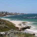 Perth shark attack: swimmer missing after incident off Sorrento Beach in Western Australia