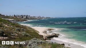 Perth shark attack: swimmer missing after incident off Sorrento Beach in Western Australia