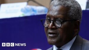 Dangote refinery: Nigerians buying into Africa’s biggest share sale