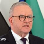 OpenAI agent ‘infiltrated’ Australian government website, PM says