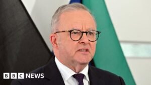OpenAI agent ‘infiltrated’ Australian government website, PM says