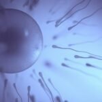Male infertility is ‘grossly underreported’
