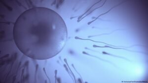 Male infertility is ‘grossly underreported’
