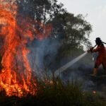 Could El Nino cause half a million heat-related deaths?