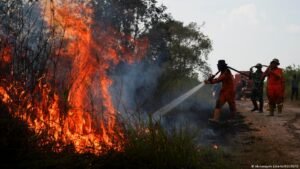 Could El Nino cause half a million heat-related deaths?