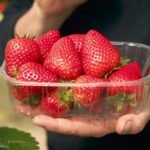 Can scientists breed the perfect strawberry?