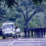 Germany: Police arrest suspect in power grid sabotage case