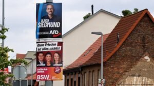BSW and AfD – a political love-hate relationship in Germany