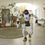 Can robots help solve China’s elderly care crisis?