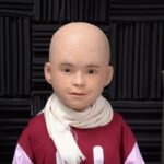 Can robots provide emotional support?