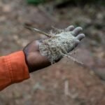 Nigeria: At least 37 suspected illegal miners die in custody