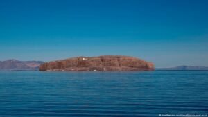 What did Trump really gain from the Greenland deal?