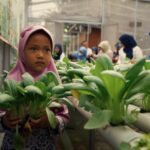 Jakarta: What’s really keeping 42 million people fed?