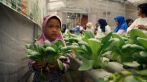 Jakarta: What’s really keeping 42 million people fed?