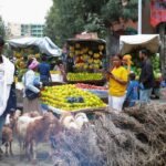Ethiopia: No regard for civilians as fighting in Ethiopia’s Tigray region continues