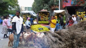 Ethiopia: No regard for civilians as fighting in Ethiopia’s Tigray region continues