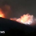 Bulgaria investigates fire at weapons site that owner calls sabotage