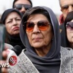 Aleema Khanum: Sister of Pakistan’s ex-PM Imran Khan arrested