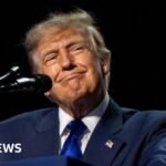 Can Trump really pay $5,000 to every American adult?