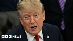 Donald Trump says he is banning CNN, Politico and MS NOW from White House