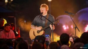 Artists, promoters and venues have their own kind of power on troubled tours like Ed Sheeran’s