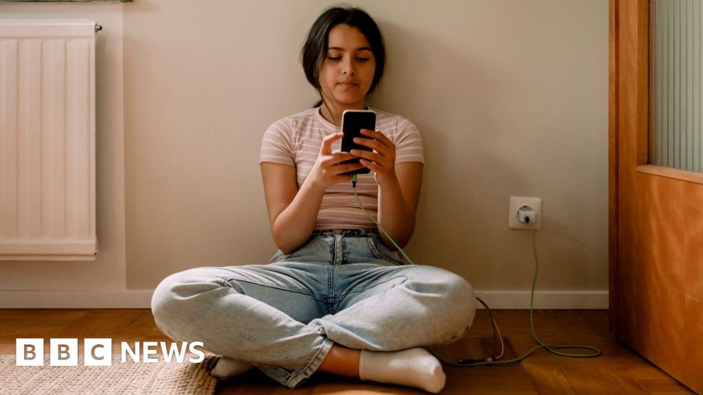 EU announces plan to restrict social media access for children