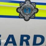 Limerick: Two-year-old boy dies after hit-and-run