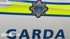 Limerick: Two-year-old boy dies after hit-and-run