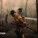 Developing El Niño becomes strongest on record weeks before expected peak
