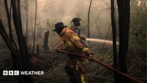 Developing El Niño becomes strongest on record weeks before expected peak