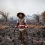 Cheap to burn, costly to bear: What fuels Indonesia’s persistent cycle of fires and haze?