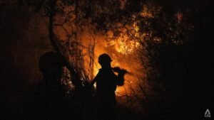 ‘Never-ending’: Relentless wildfires push Sumatra’s firefighters to their limits